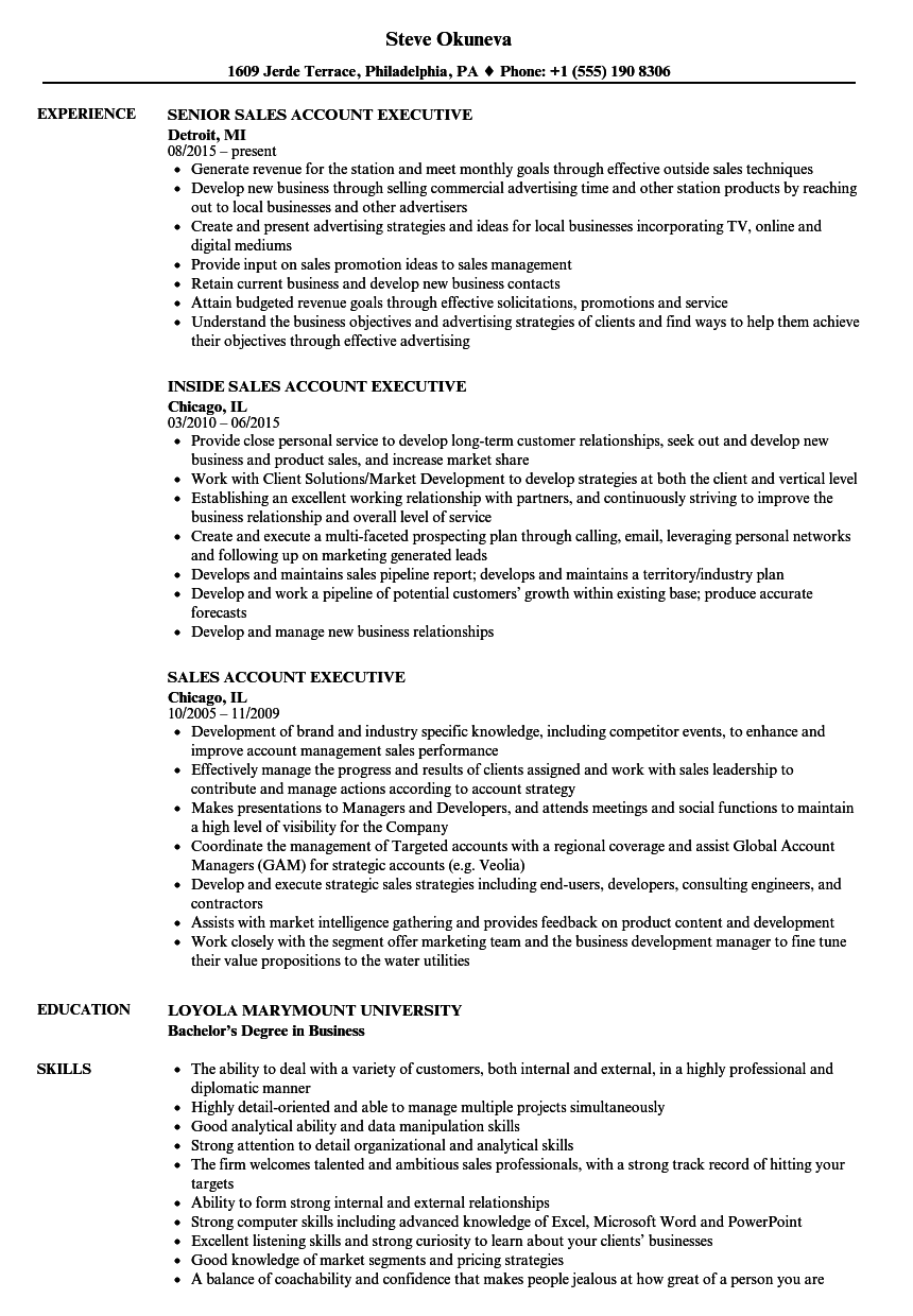 Sales Account Executive Job Description