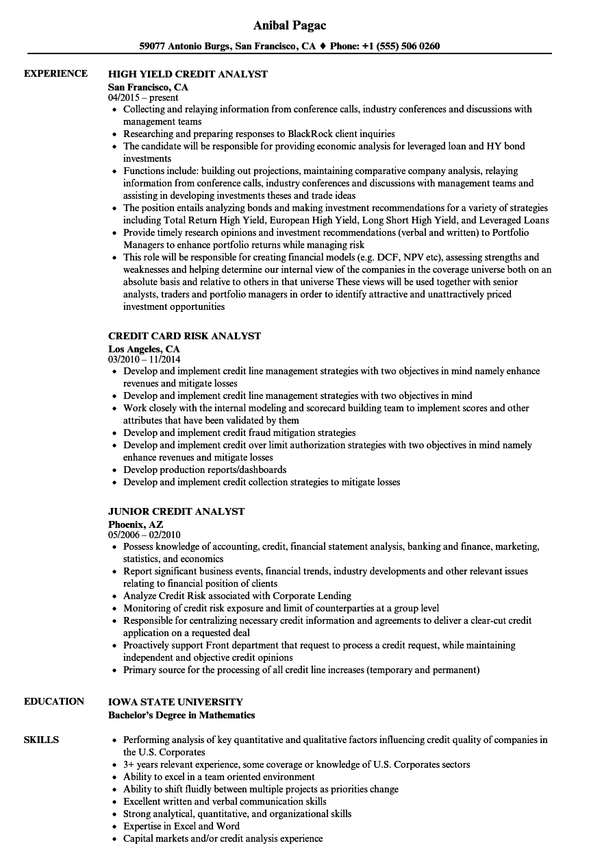 Credit Analyst Resume Mt Home Arts