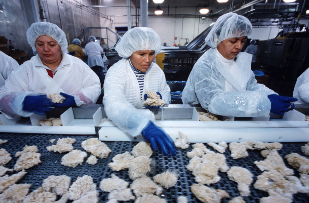 Food Process Worker Job Description Mt Home Arts