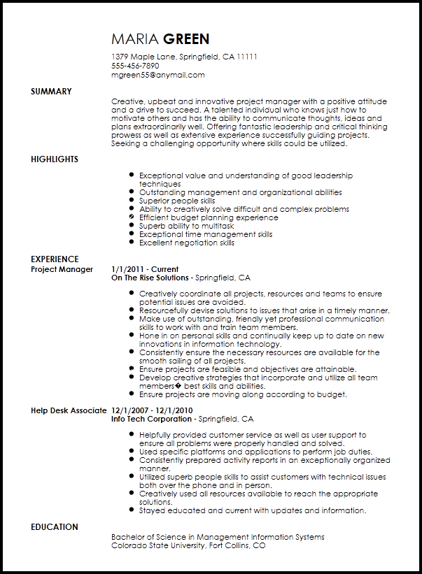 project manager summary resume