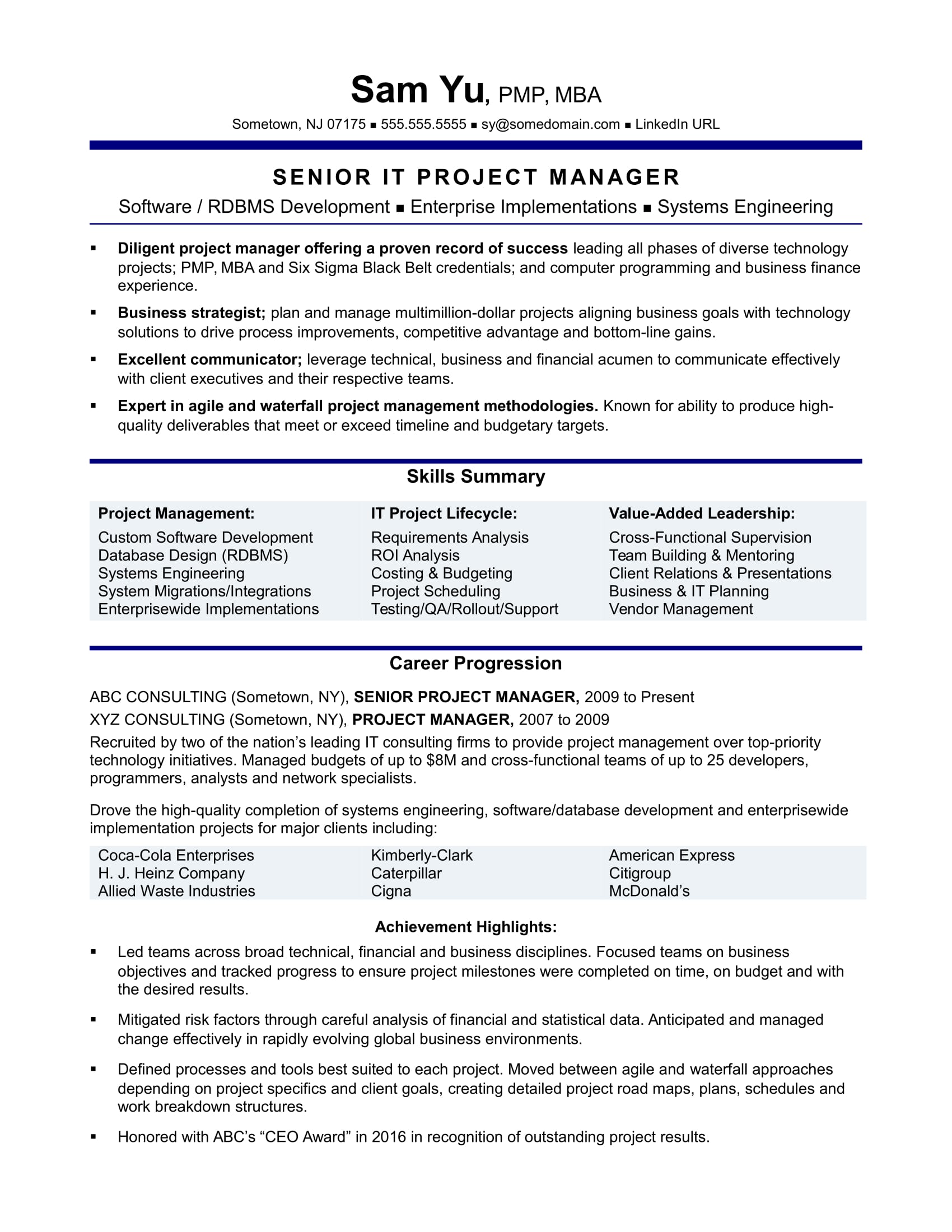 project manager summary for resume