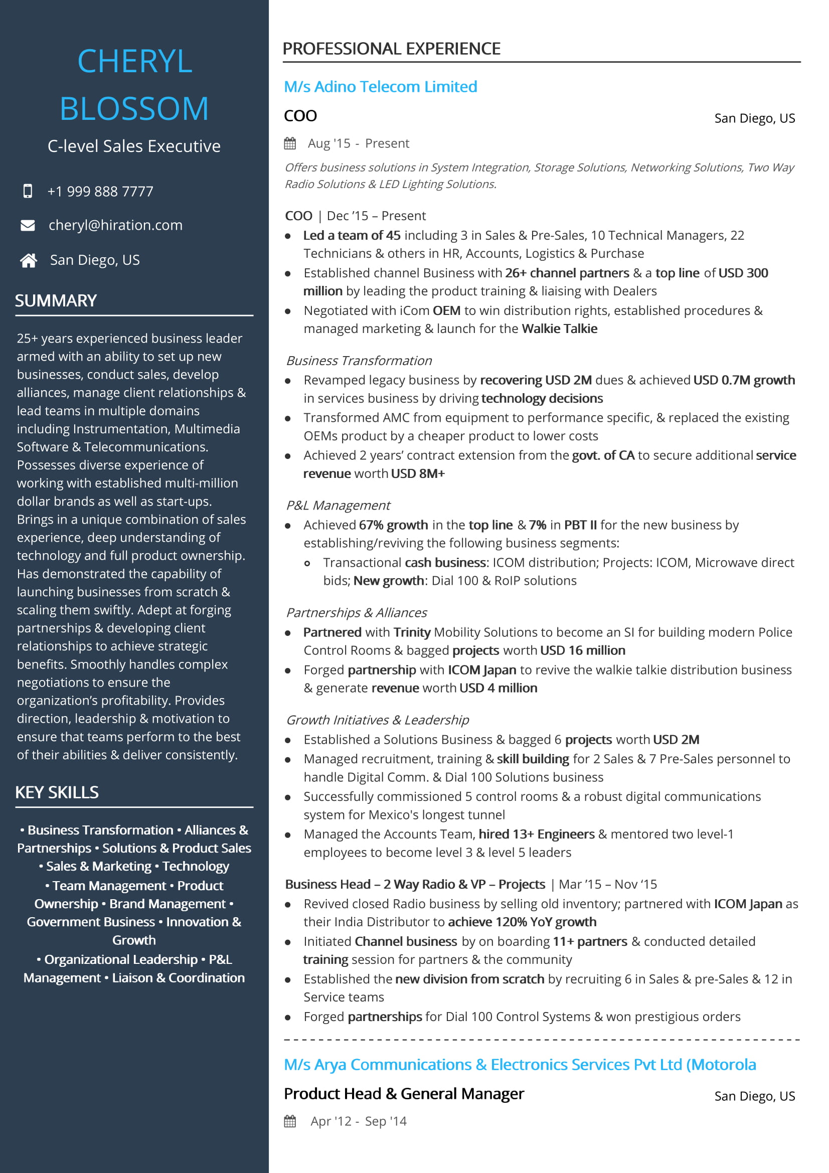 Marketing Executive Resume Template