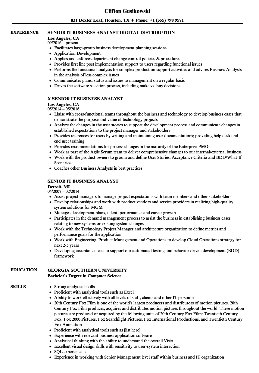 sample resume for business analyst in it