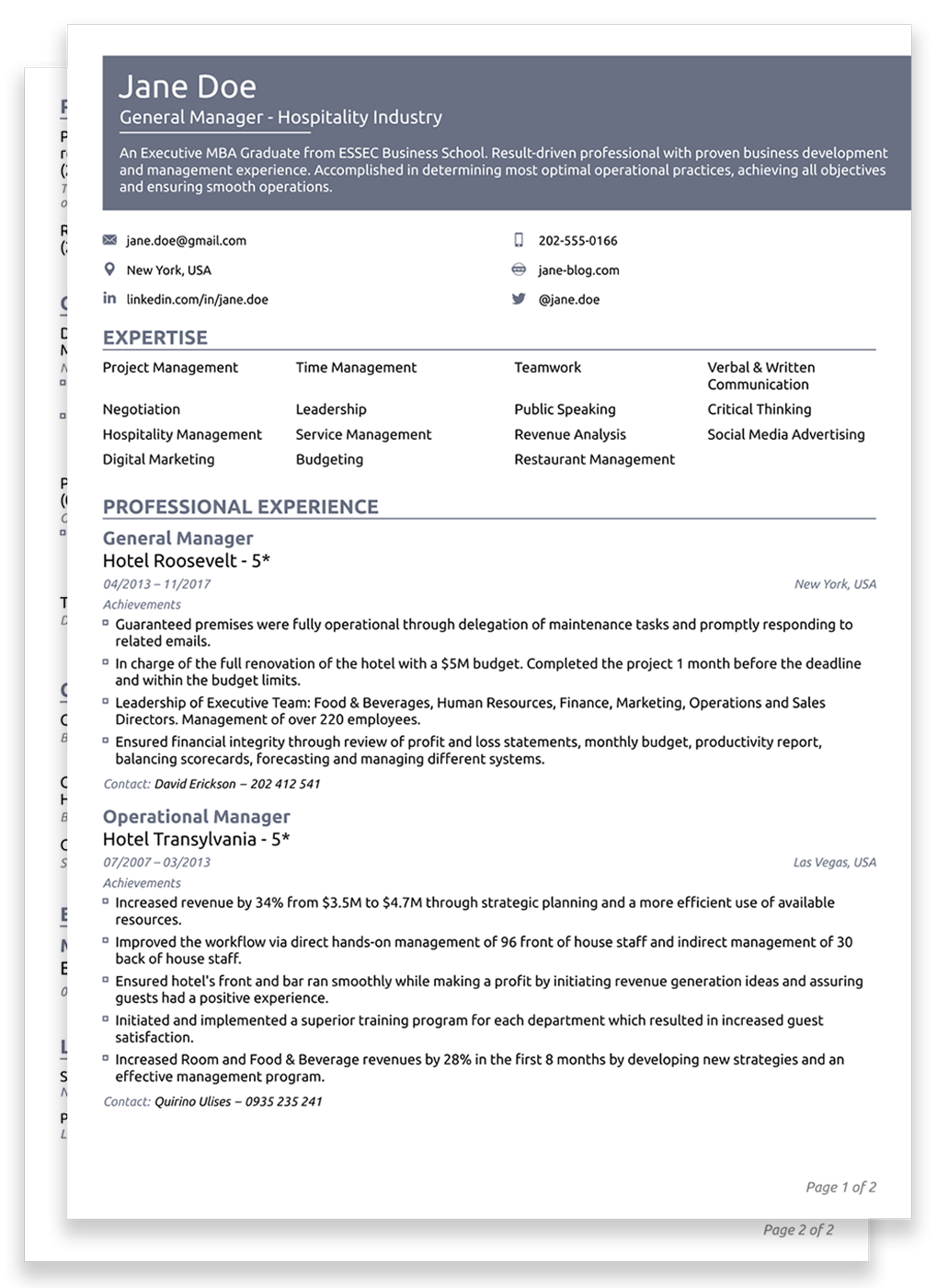 Curriculum Vitae Template | Mt Home Arts