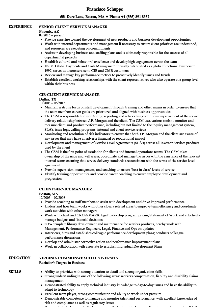 District service manager resume