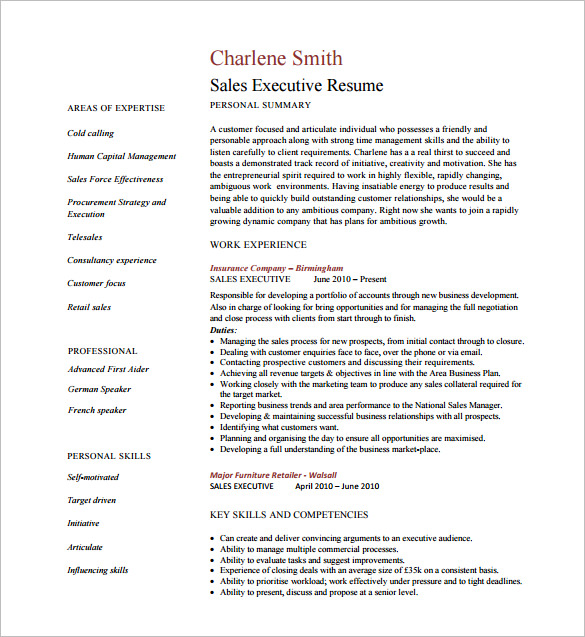Executive Resume Template Word Mt Home Arts
