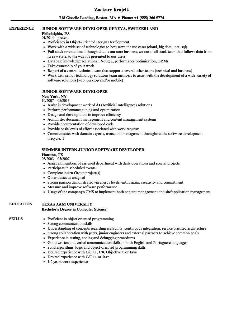 Junior Software Developer Resume Mt Home Arts