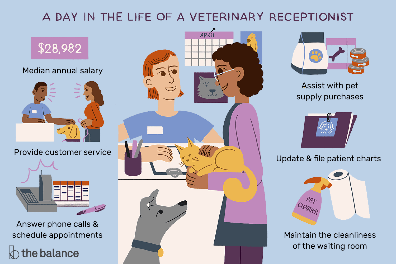 how-to-become-a-vet-assistant-uk-infolearners