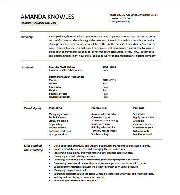 Executive Resume Template Word | Mt Home Arts